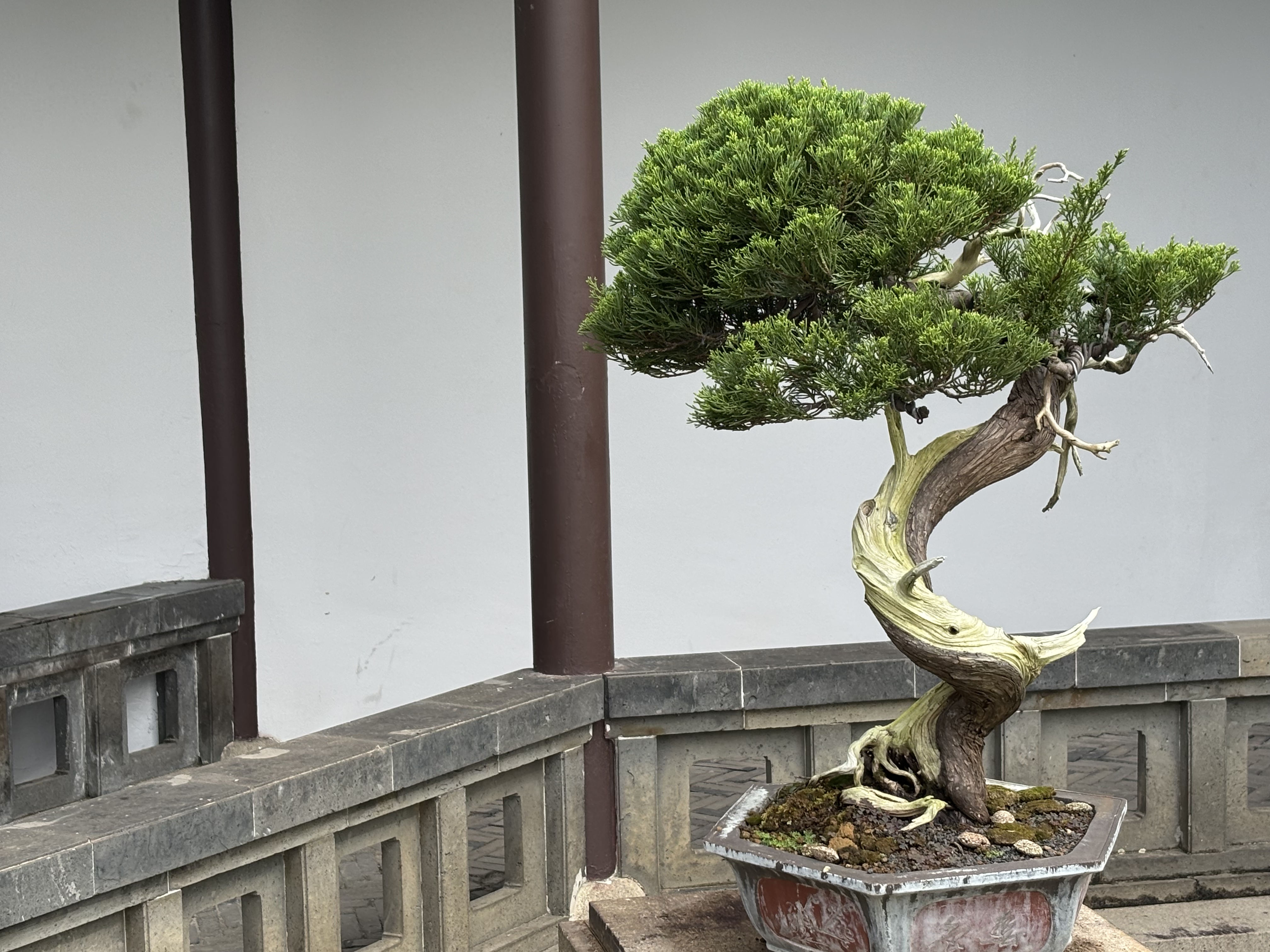 Bonsai Garden, Singapore