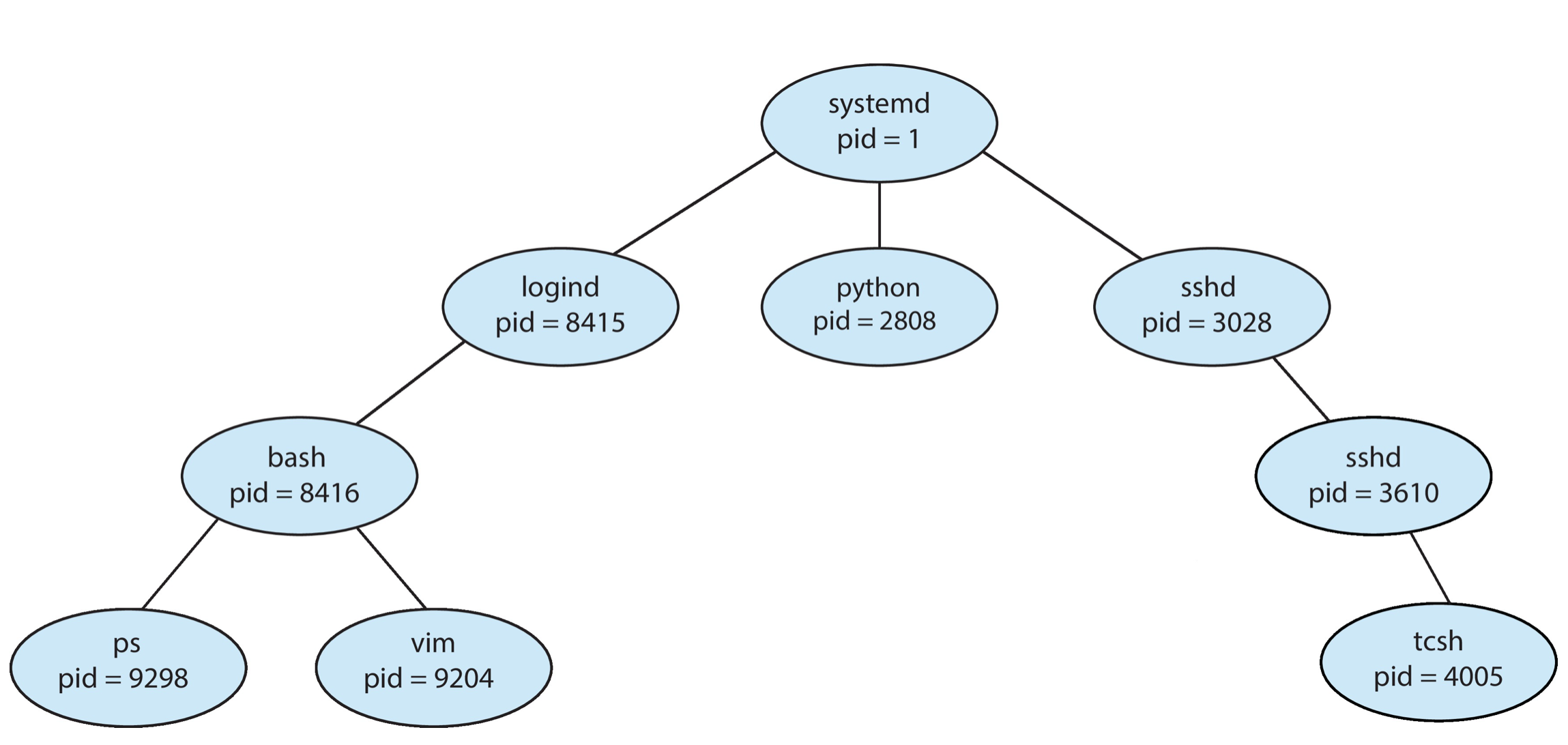 Process Tree